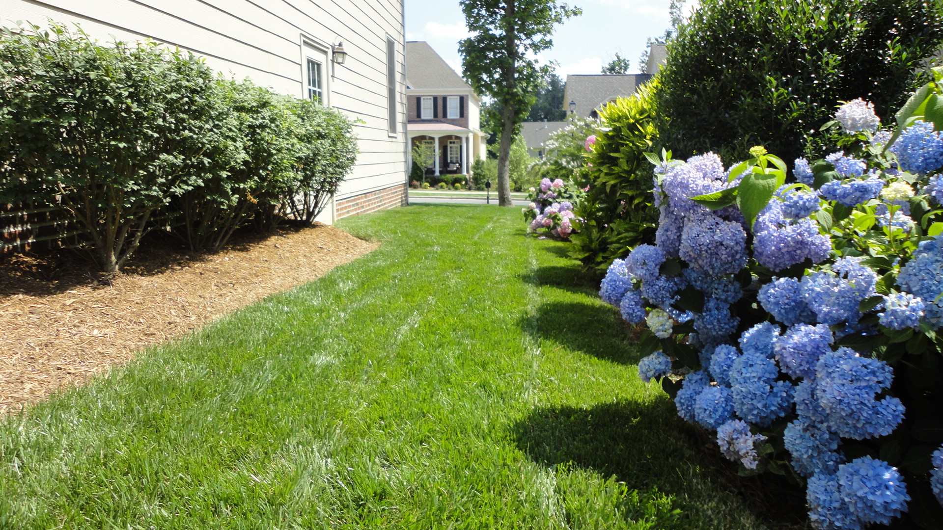 Total Grounds Management Supervisor » MPDG Madison Planting & Design